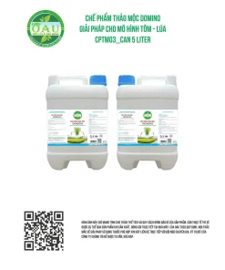 CHẾ PHẨM THẢO MỘC DOMINO GIẢI PHÁP CHO MÔ HÌNH TÔM - LÚA CPTM03_CAN 5 LITER